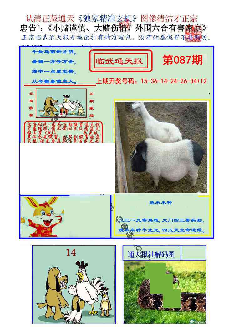 087期临武通天报[图]